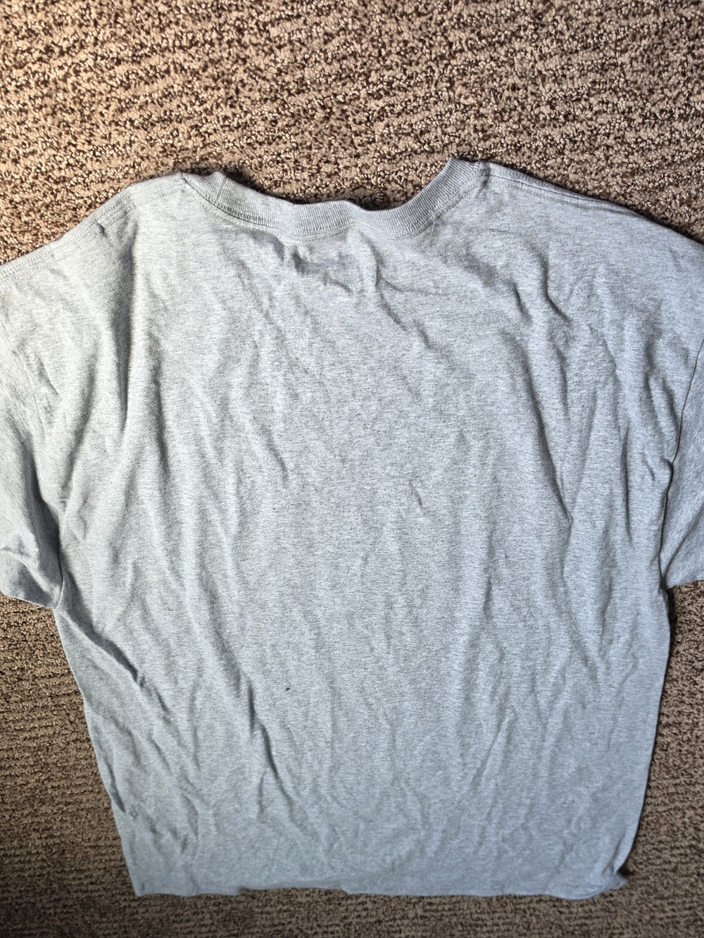 Champion Men’s Gray 2024 Cross Country Regionals Graphic Tee - Picture 6 of 6